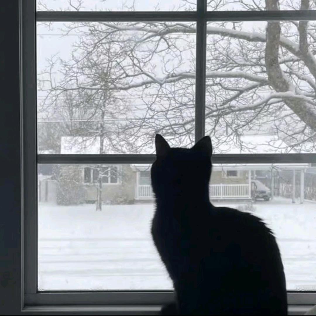 𝗛𝗲𝗹𝗹𝗼小狗