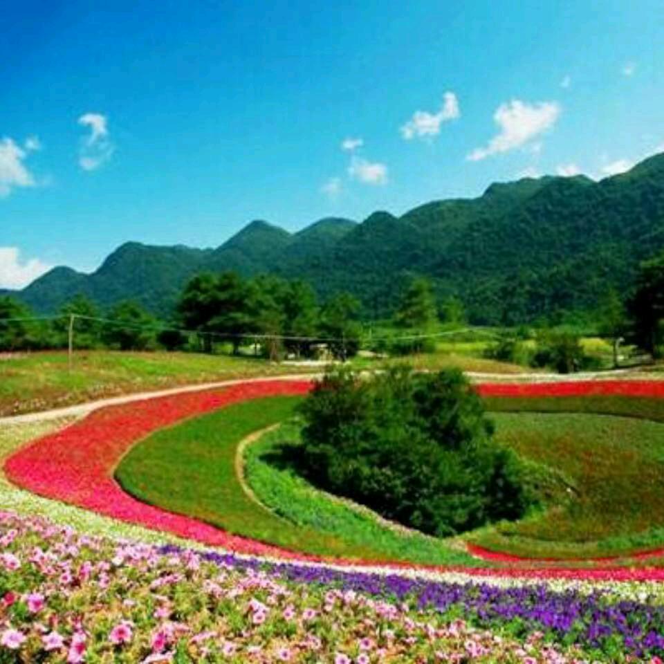 山狼哥