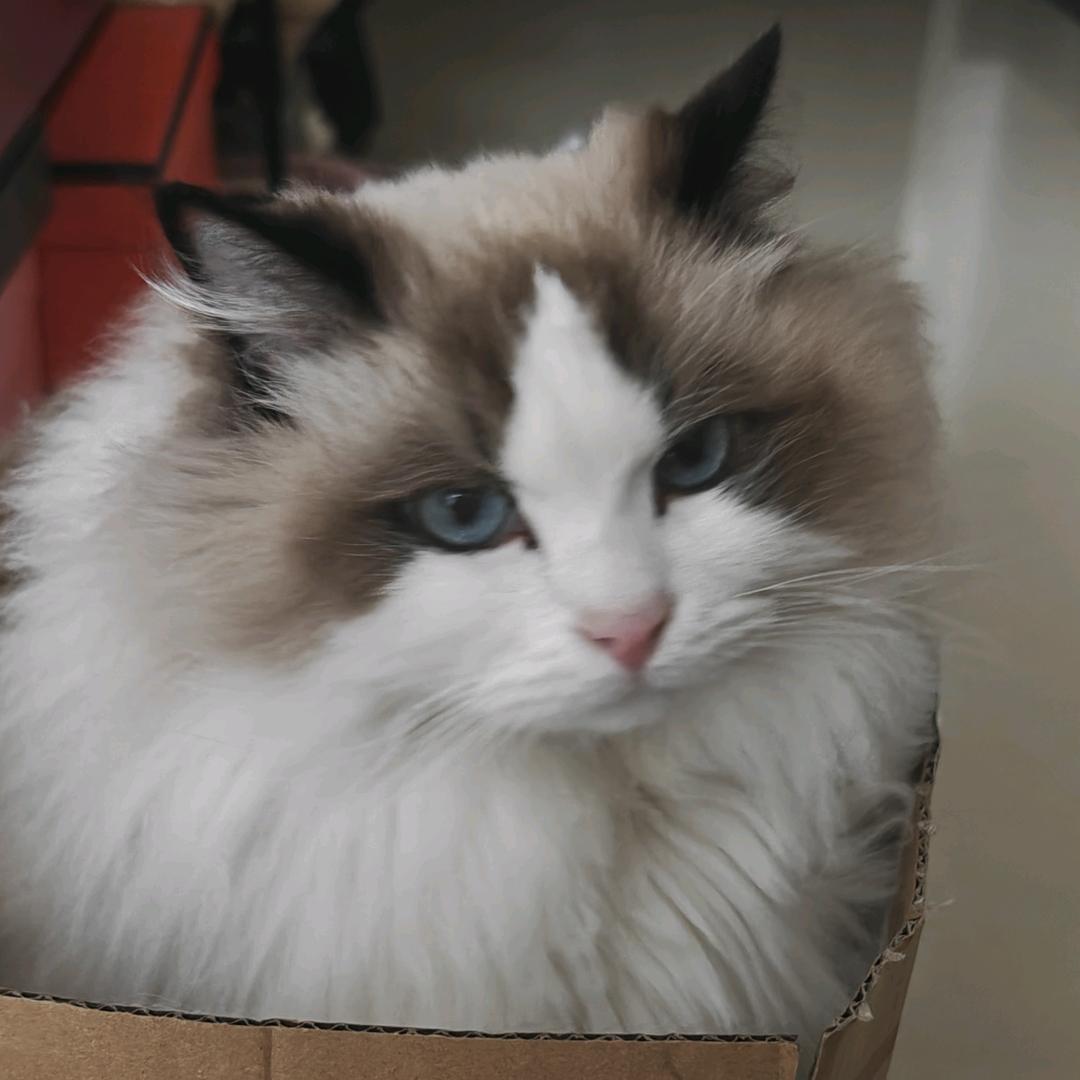 失眠想睡觉💤