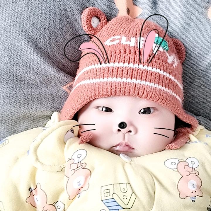 小小蛋