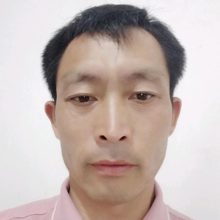 梦中情