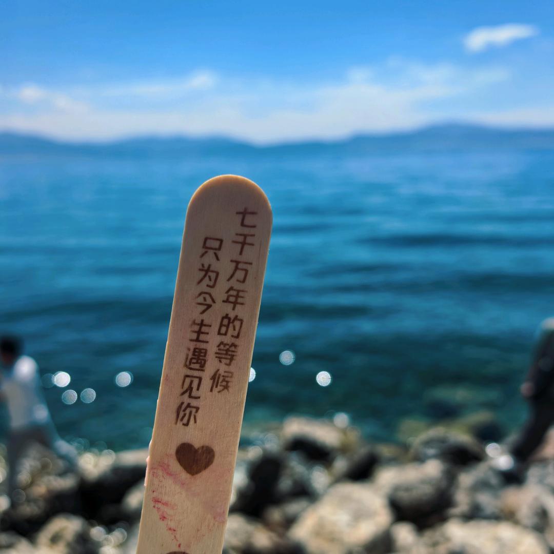 ～～大～～梦～～梦～～