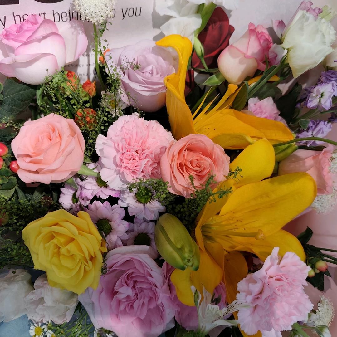 岚森康舒家，蔺姐