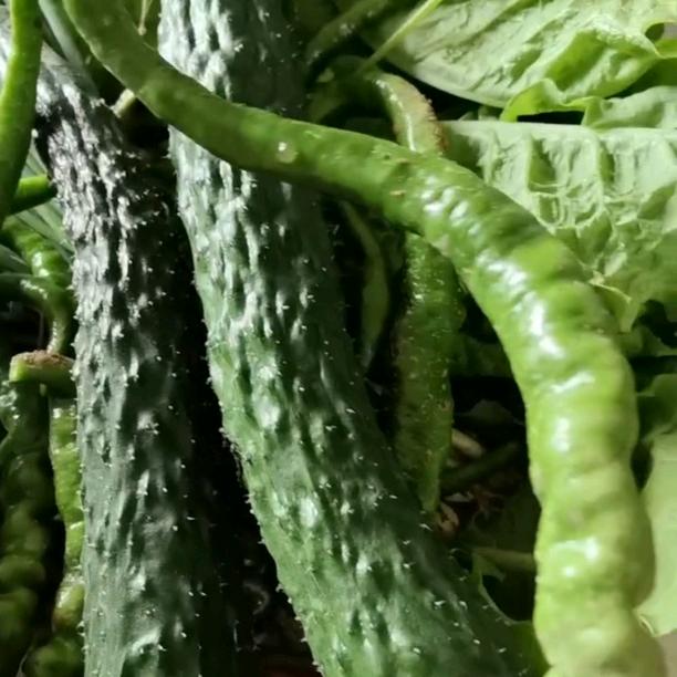 米米🌽。