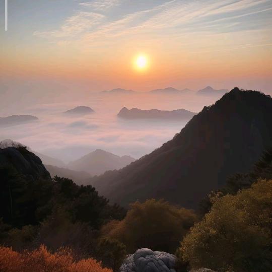 明月见心
