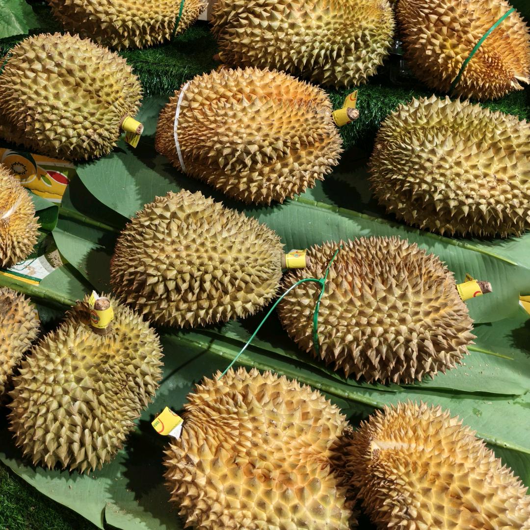 超哥榴莲（宿迁直销店）