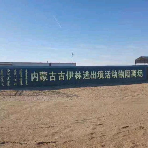 内蒙古古伊林进出境活动物隔离场，进口马