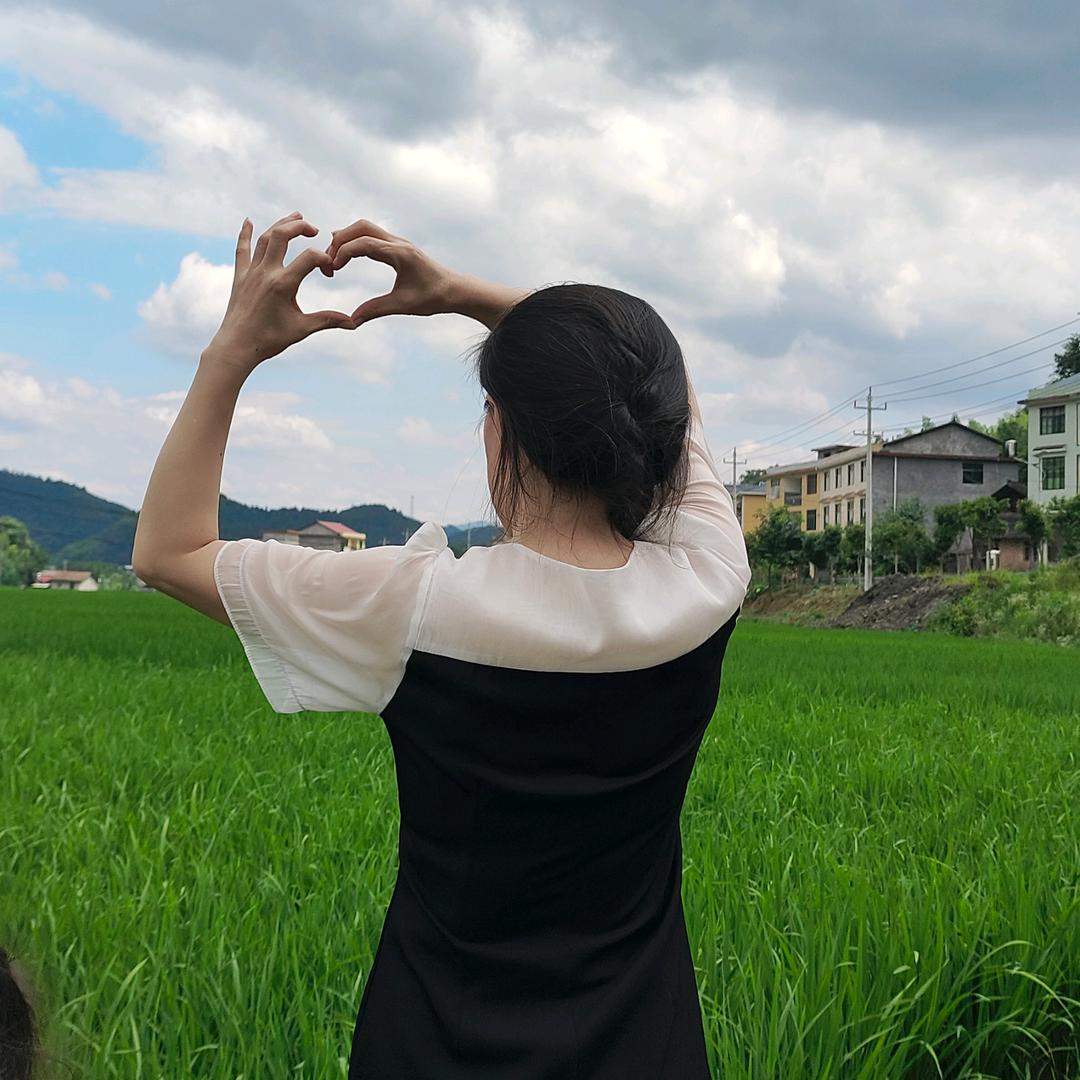 农村凤