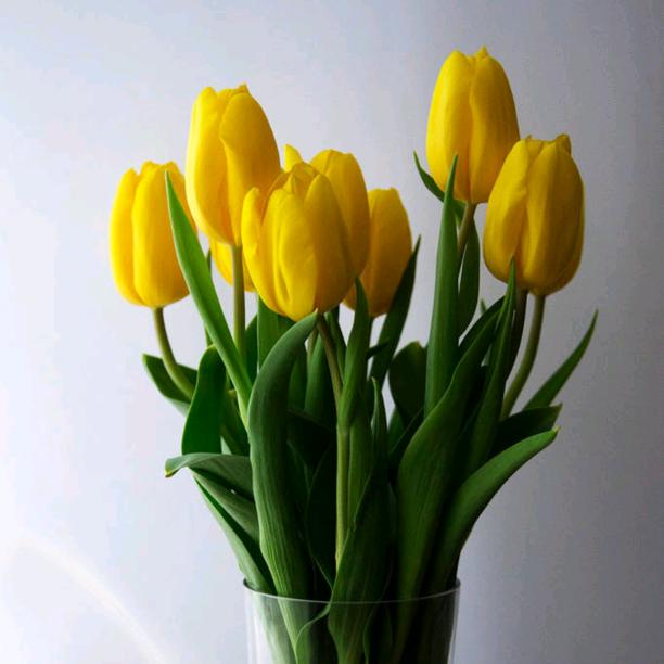 心向暖阳🌷
