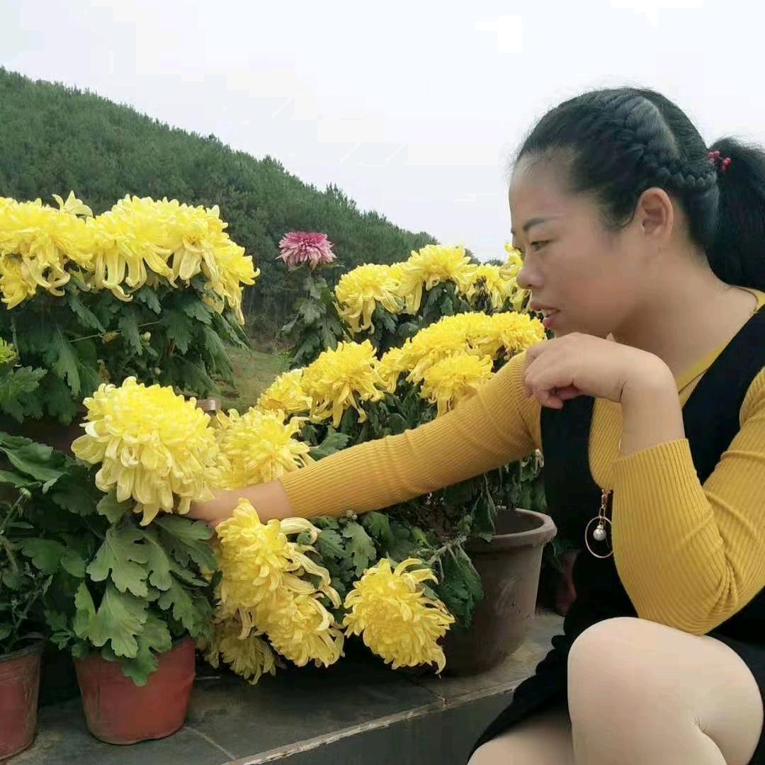 勿忘♥╣[-_-]╠♥初心