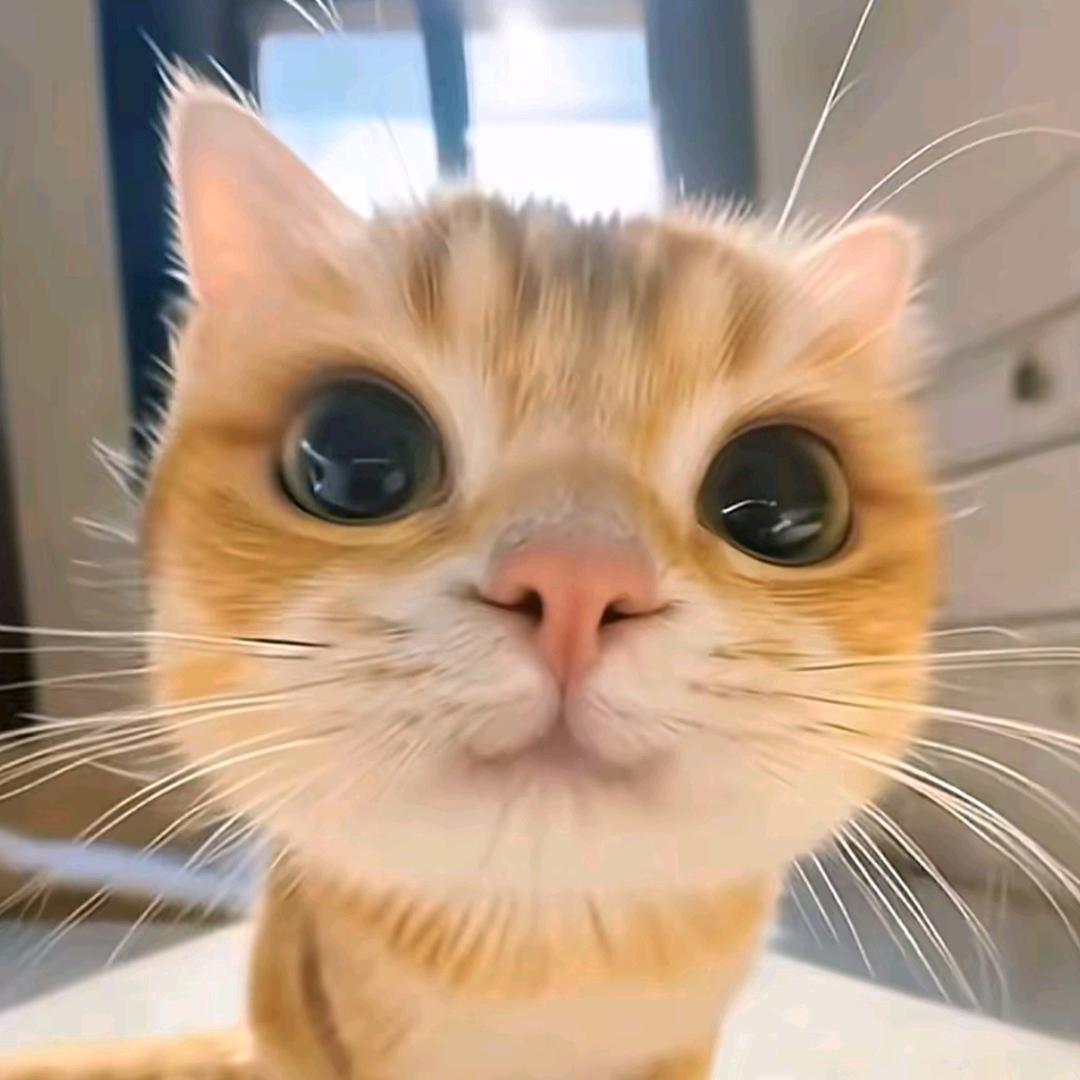 好运来临