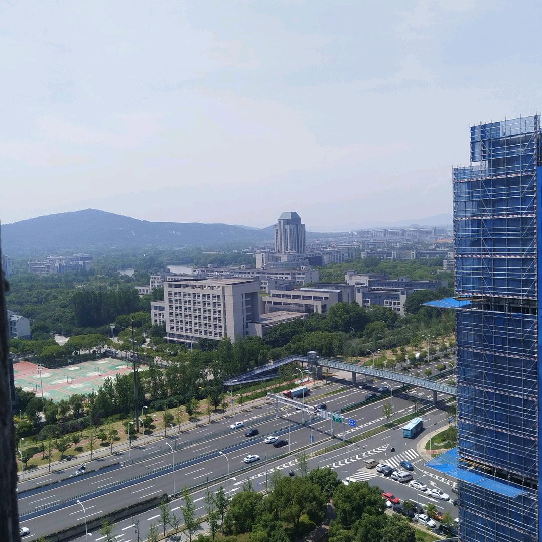 浪子东游