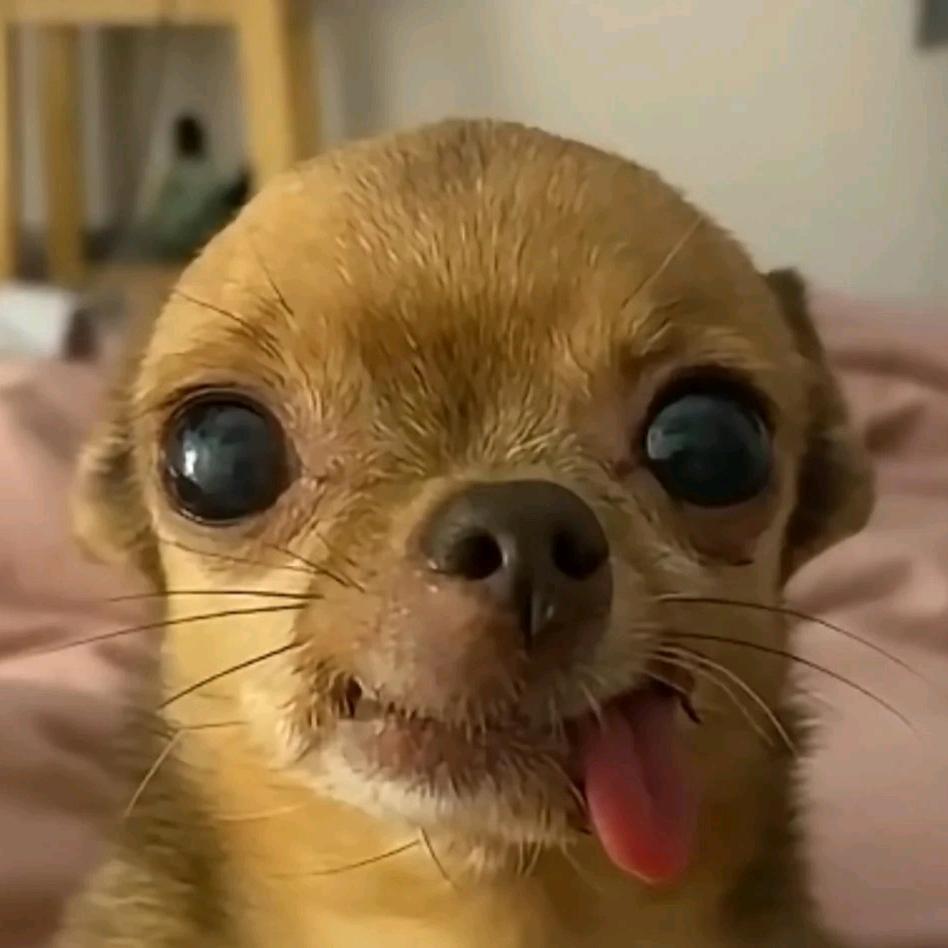 任己