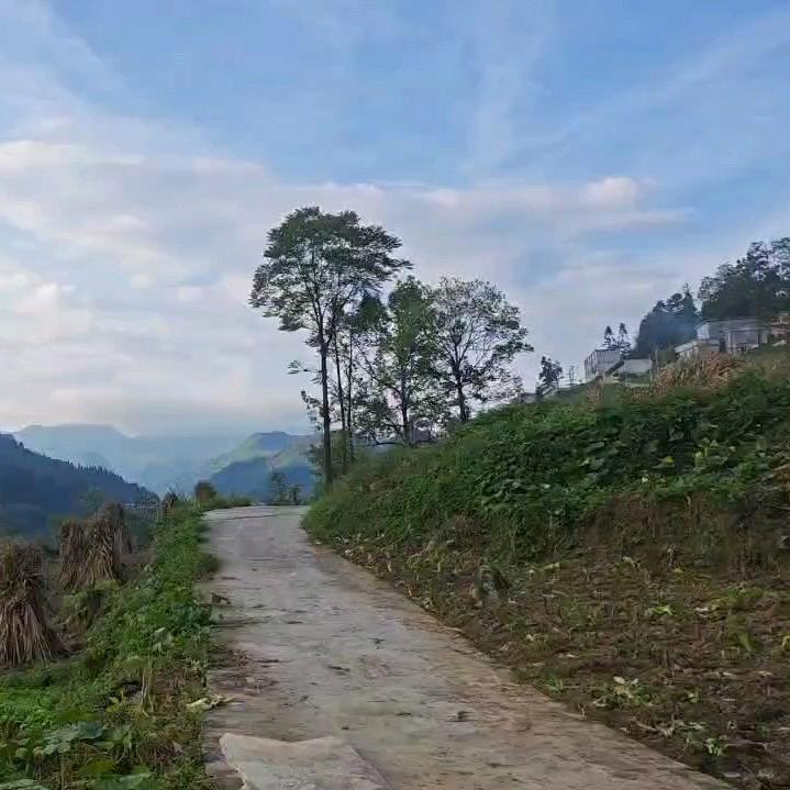 守护花开