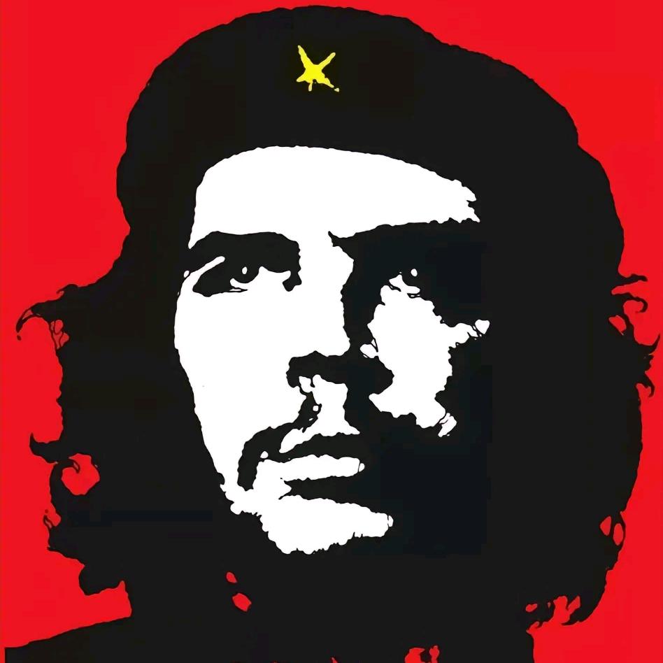 落榜美术生 增肌板