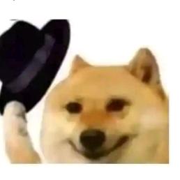 闪亮大便