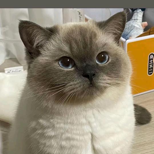 多宝娱乐厅