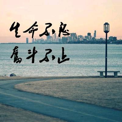骄阳鑫晟