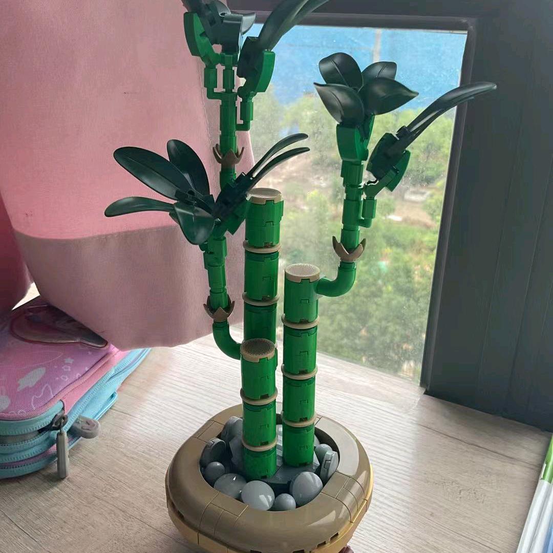 云朵稳赢