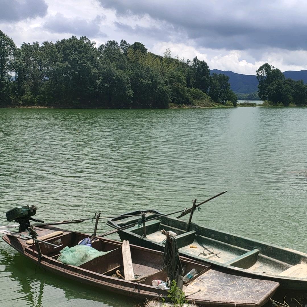 陆水湖焦滩魏家(周)钓鱼圣地