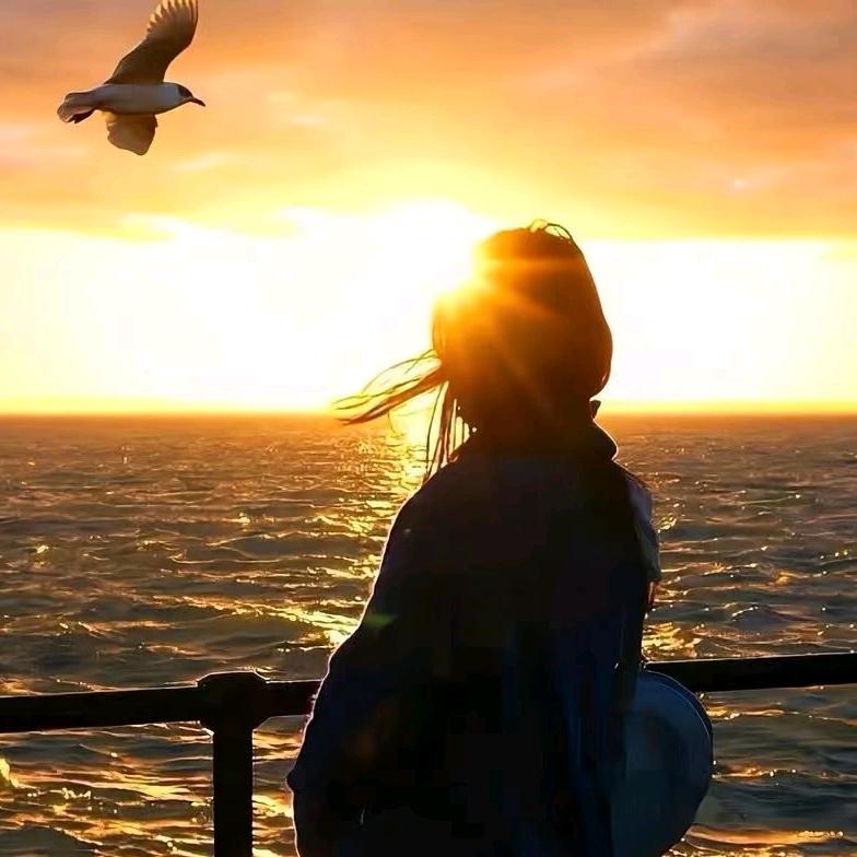 鹤祥宫龙华百佳华 培训老师 395