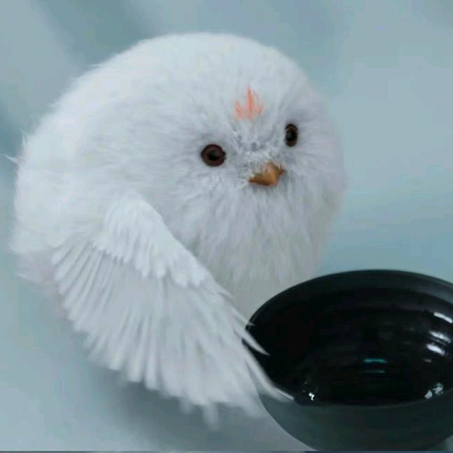 止心