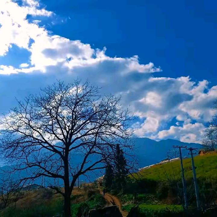 那个女人会魔法