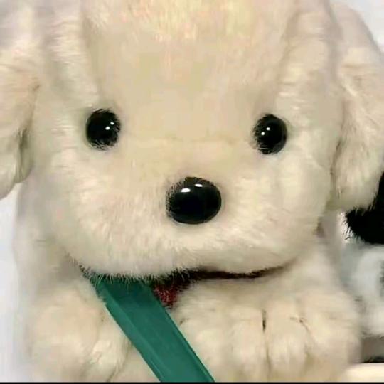 我爱睡觉。 。 。