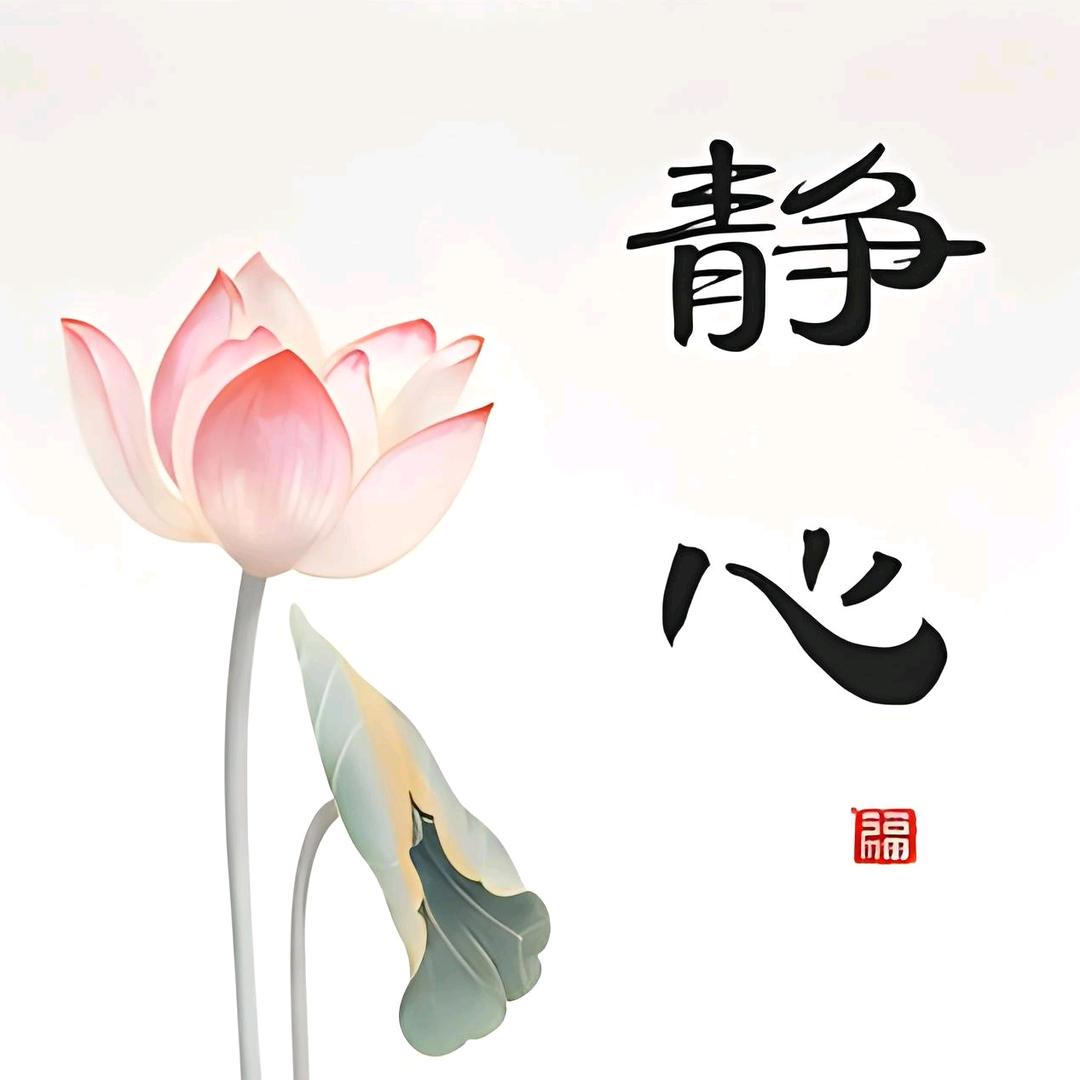 🙏无忧无虑🙏