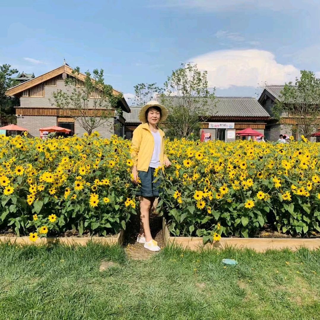 百草拾光