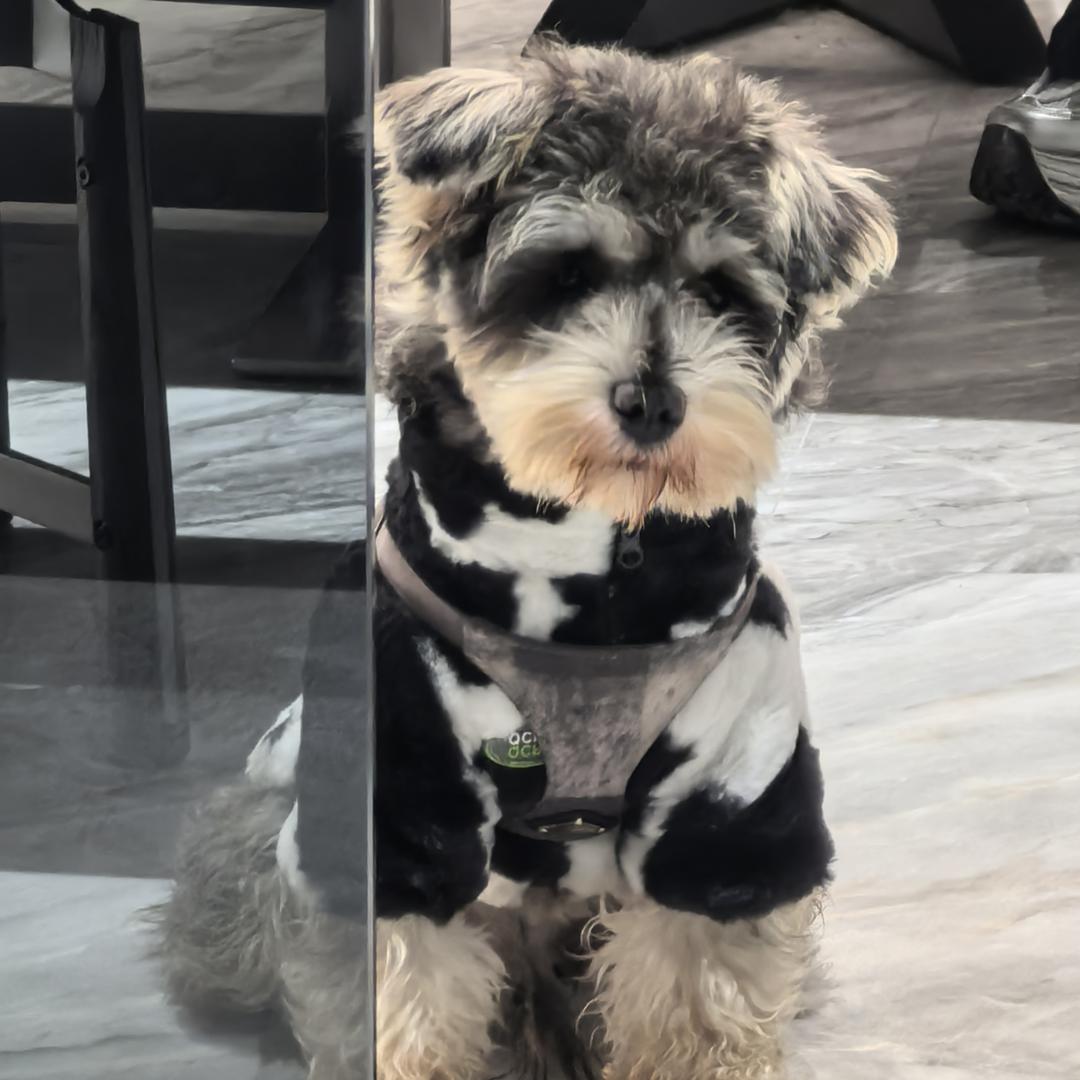 卖设计的咖啡师