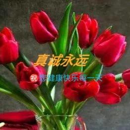 真诚永远