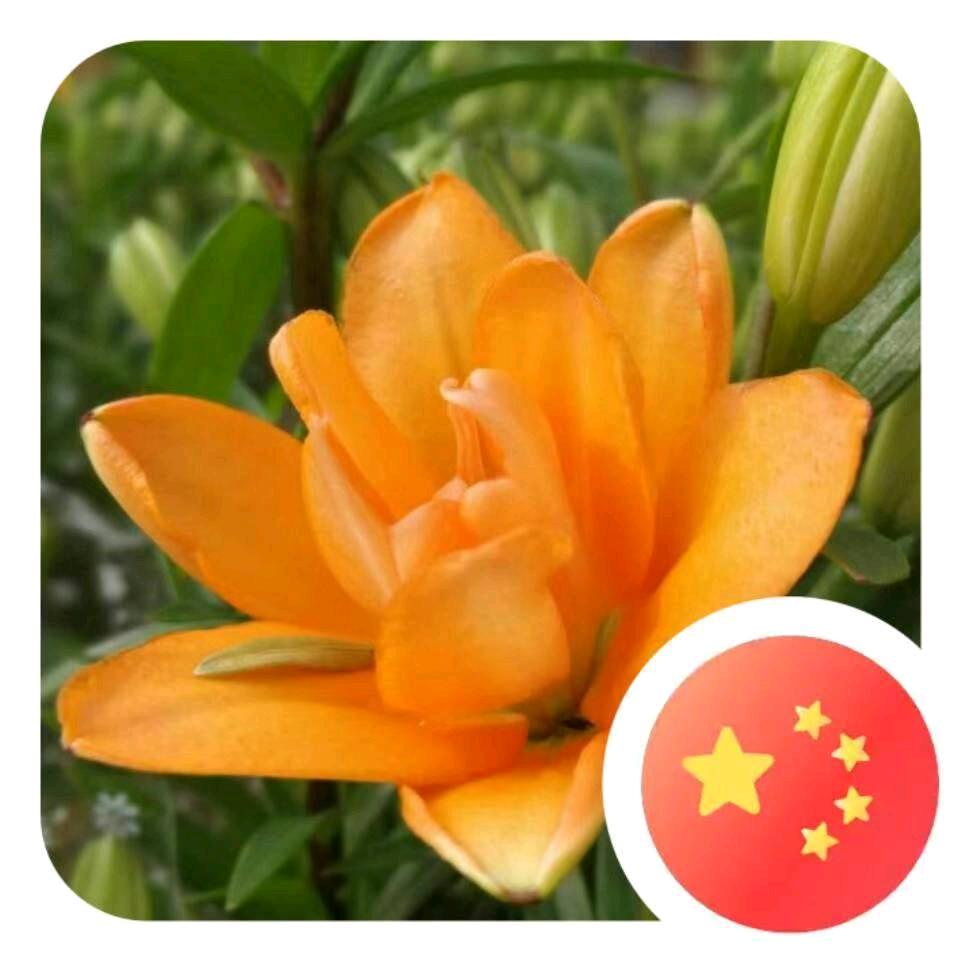 平凡人生