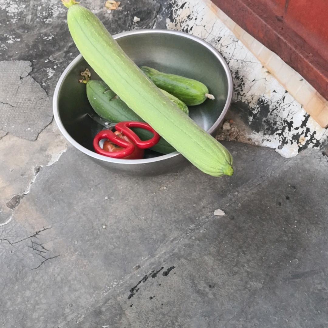 闫姐