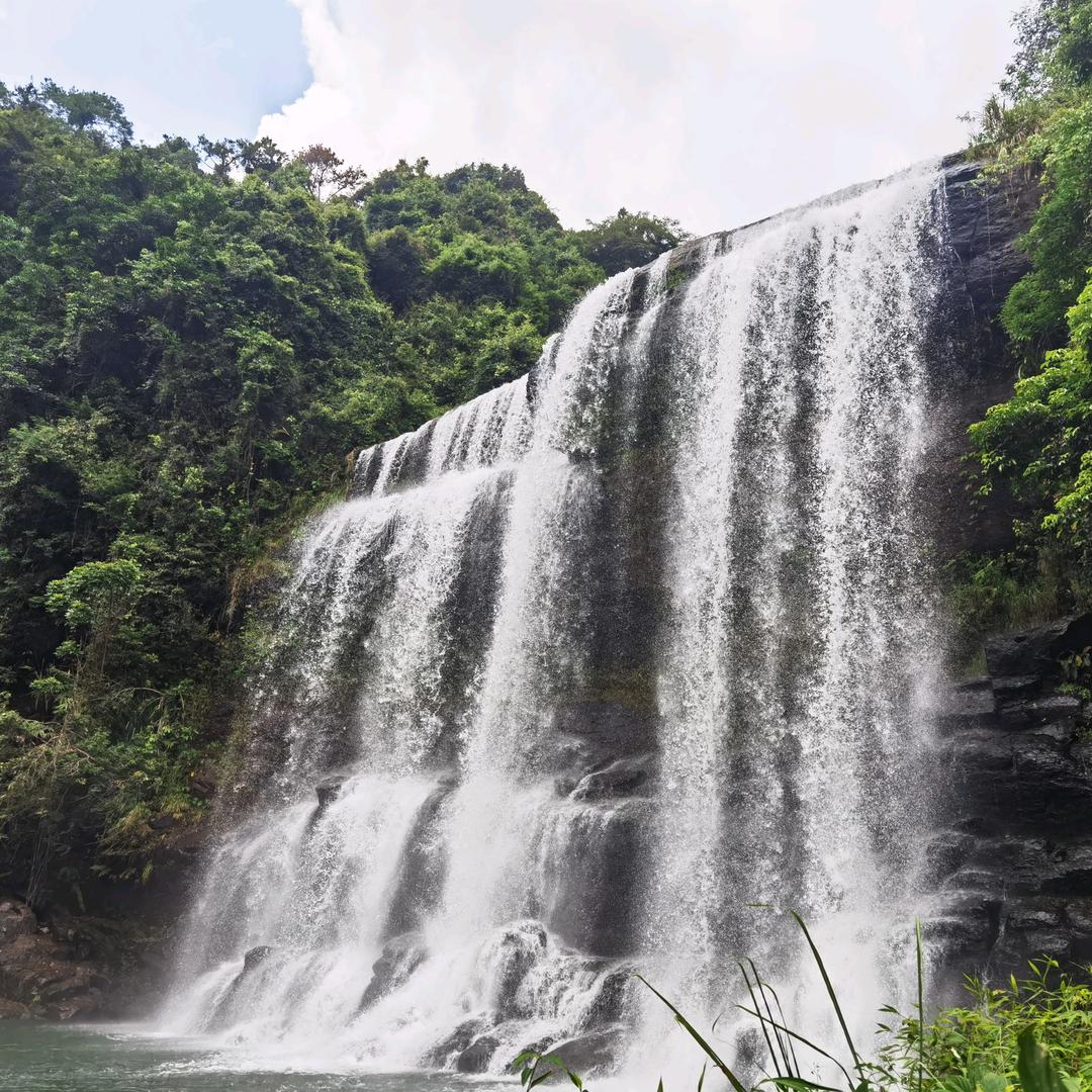 ʜɪ. ◡̈⃝   清晏