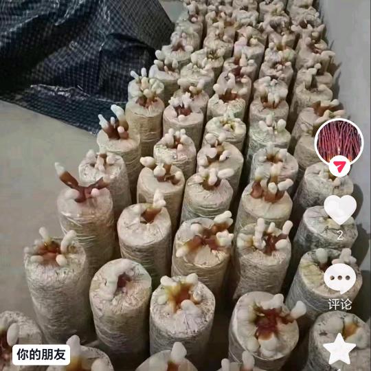 拆除钢结构厂房有活的老板请联系.