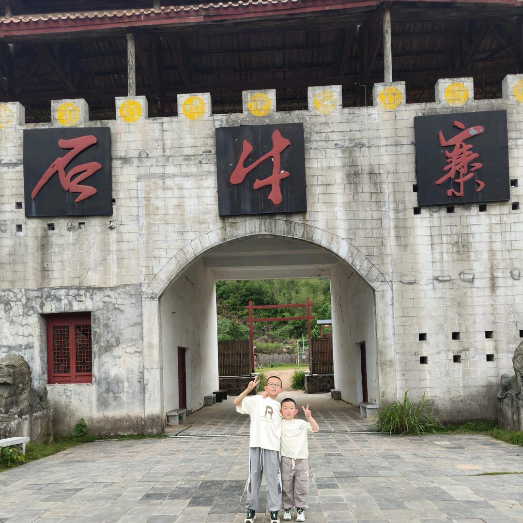 天王1盖地2虎