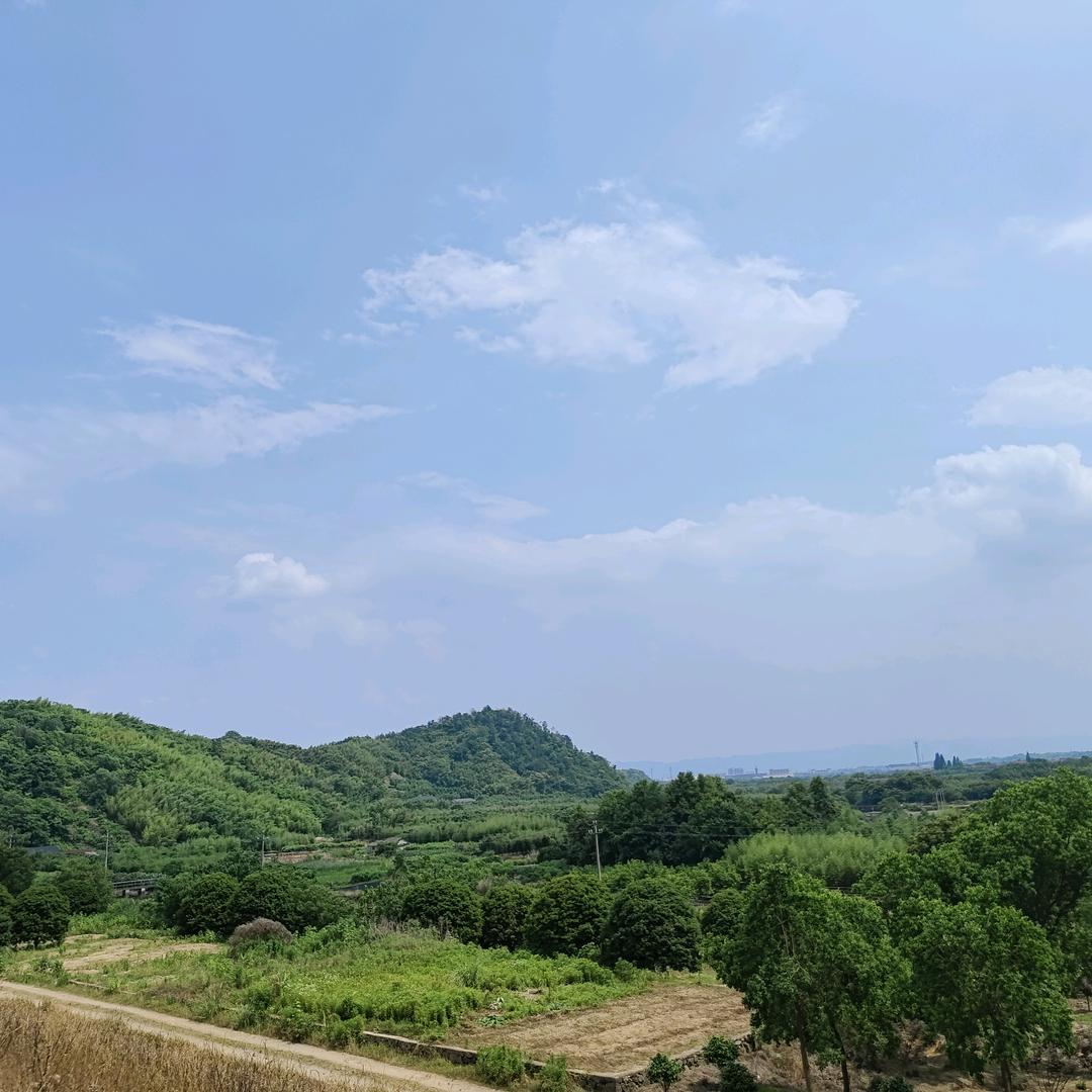 小龙总