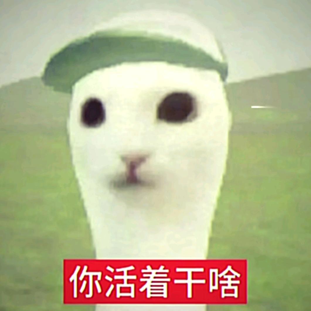 艾琳Aileen