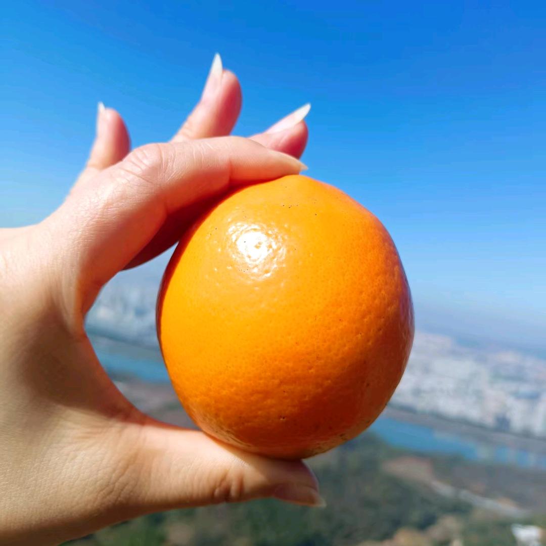 川源慧兴新鲜水果坊