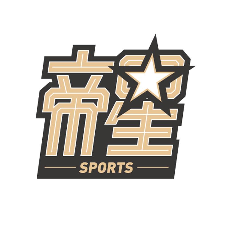 帝星体育上海店