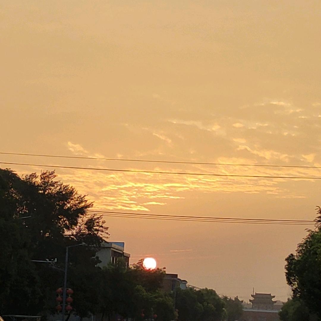 秋殇别恋