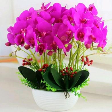 蜜蜜  户
