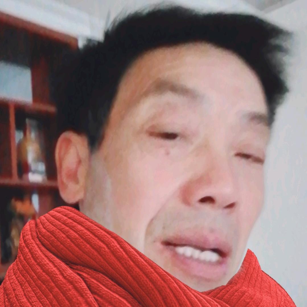敢于飞翔