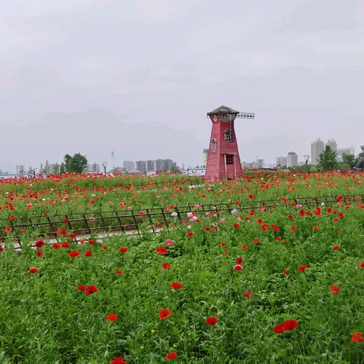 清风明月83986