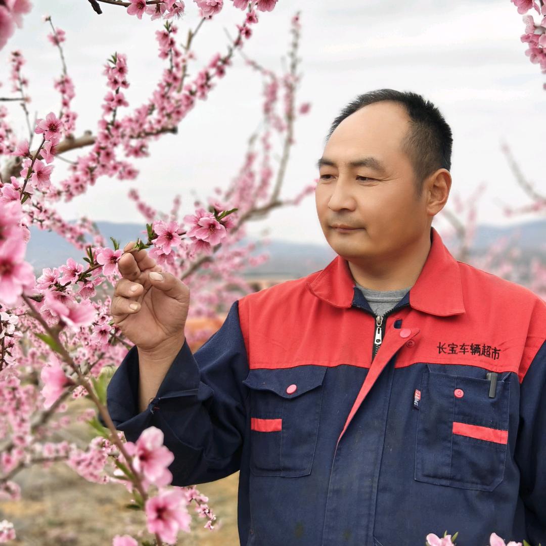 一片绿叶说桃