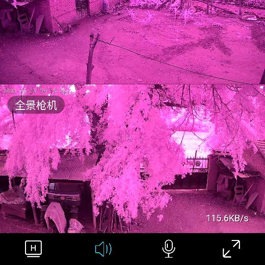 天地人合道