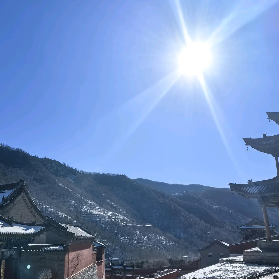 舒淘优选
