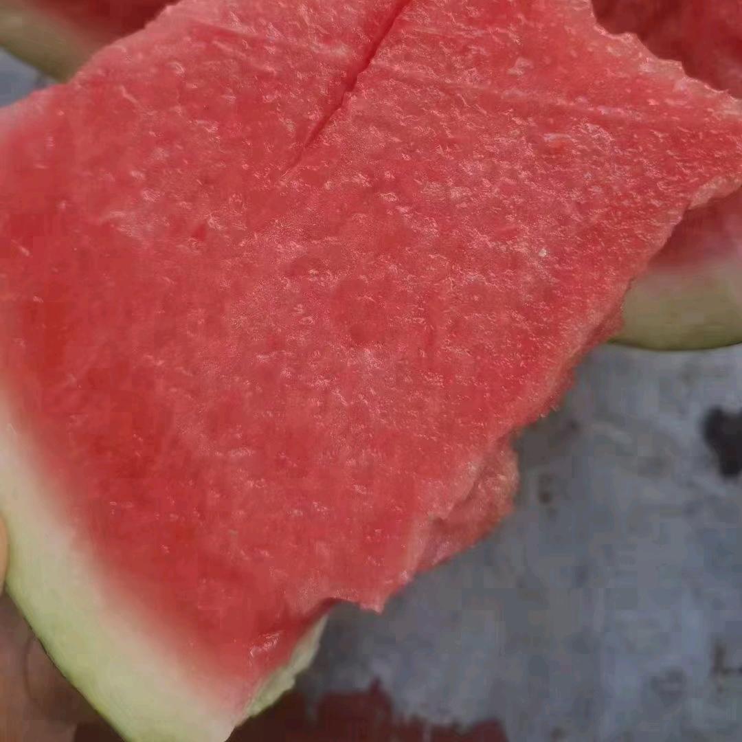 小刘瓜果产区