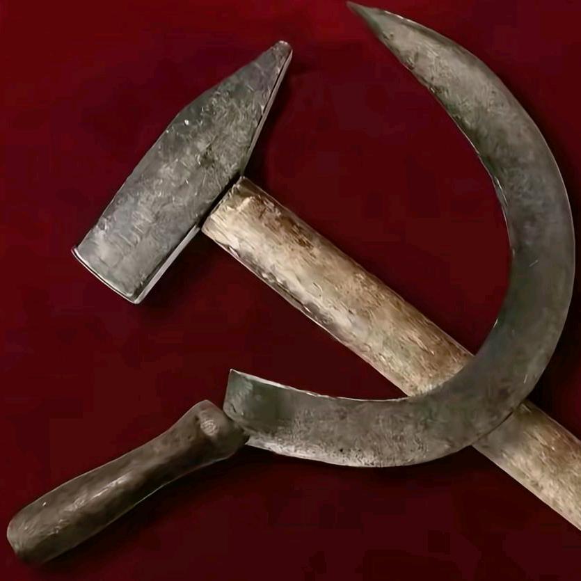 奈何缘浅向明月